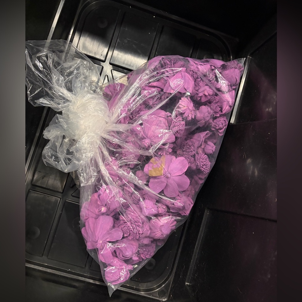 Purple Sola Flowers